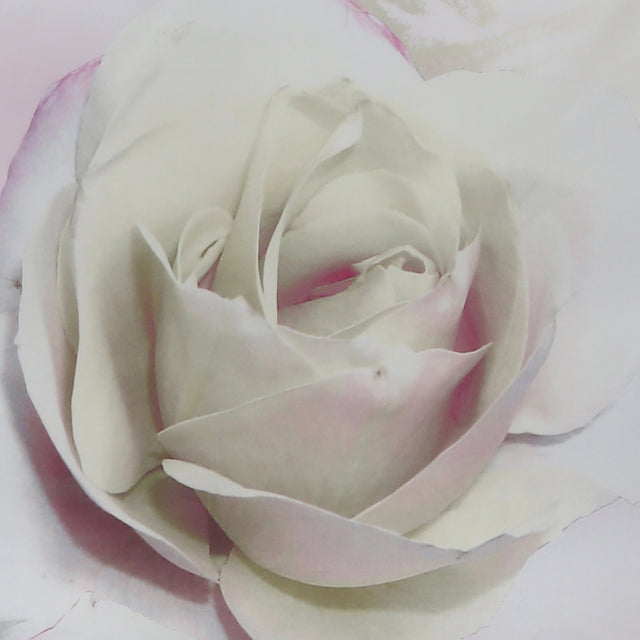 Rosella Bettwäsche TAMARA R - Selection - 100% Mako-Baumwolle-Satin