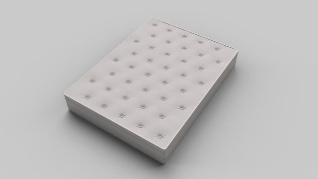 BUGSECURE Matratzen-Vollschutz für Matratzen mit 18-22 cm Höhe